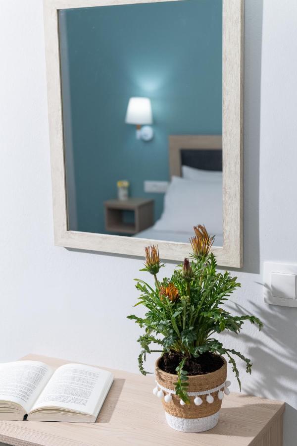 Apartment Domus Alta *